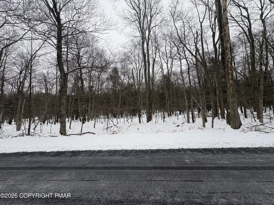 8 Shadylane Drive, Newfoundland, PA 18445 - Image #3