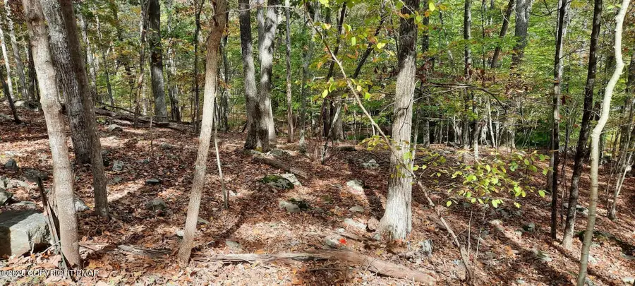 Lot 8 Sec Decker Road, Bushkill, PA 18324 - Image #3