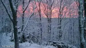 399 Mountain View Drive, Hazle Township, PA 18202 - Image #3