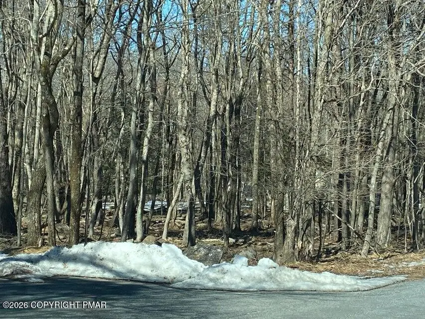 Jeffers Way & Lang Way, Albrightsville, PA 18210 - Image #2