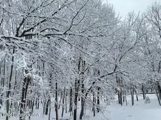 407 Sassafras Road, Albrightsville, PA 18210