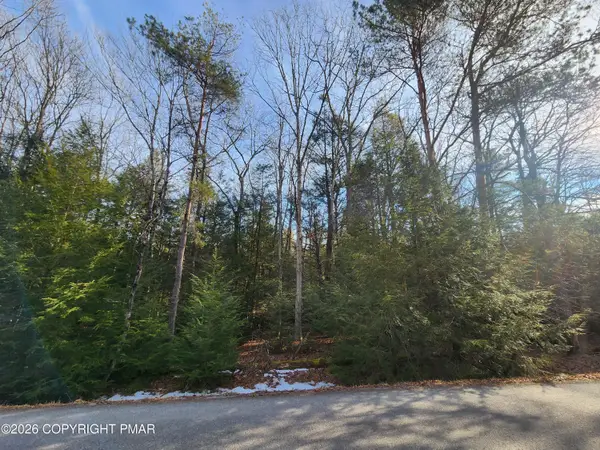 Lot EV378 Towamensing Trail, Albrightsville, PA 18210