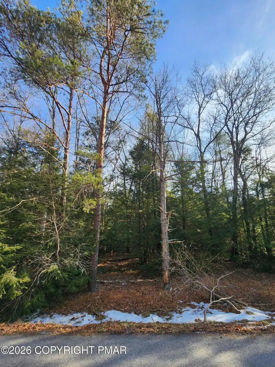 Lot EV378 Towamensing Trail, Albrightsville, PA 18210 - Image #3