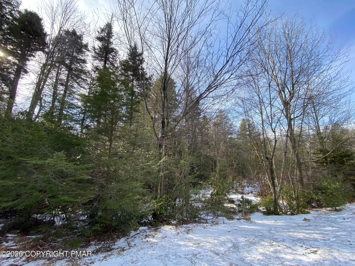 102 Minsi Trail W, Long Pond, PA 18334 - Image #1