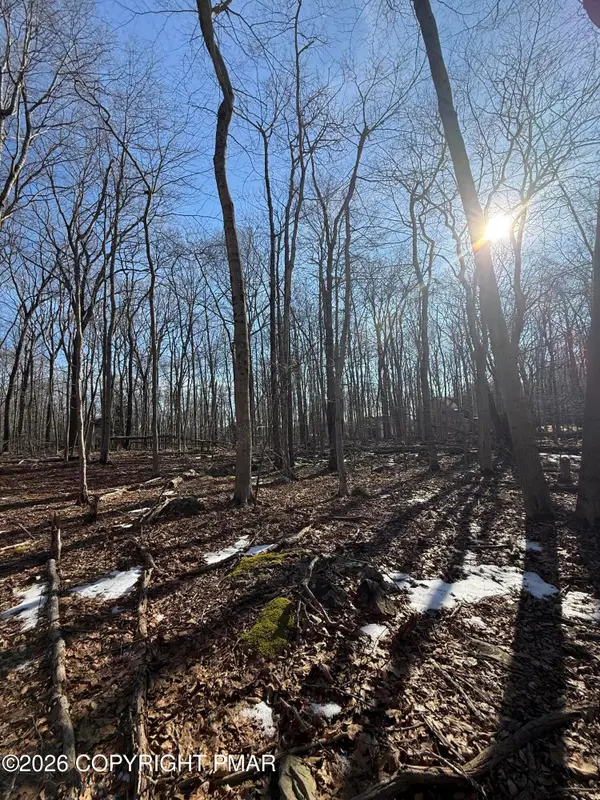 803 Selig Rd, Pocono Lake, PA 18347