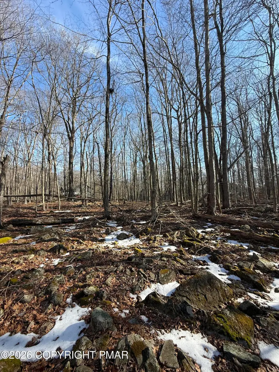 803 Selig Rd, Pocono Lake, PA 18347 - Image #2