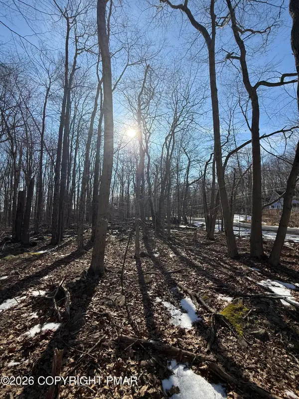 804 Selig Road, Pocono Lake, PA 18347