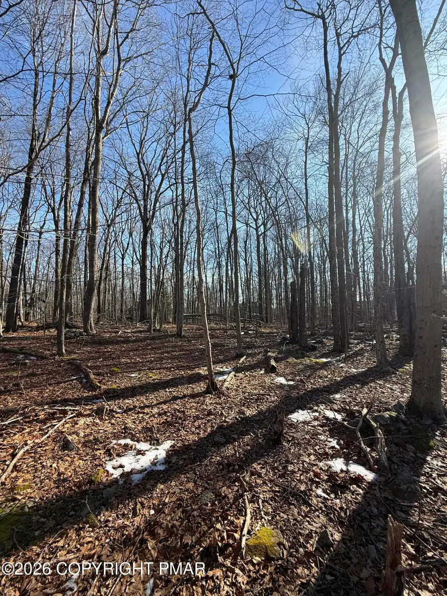 804 Selig Road, Pocono Lake, PA 18347 - Image #3