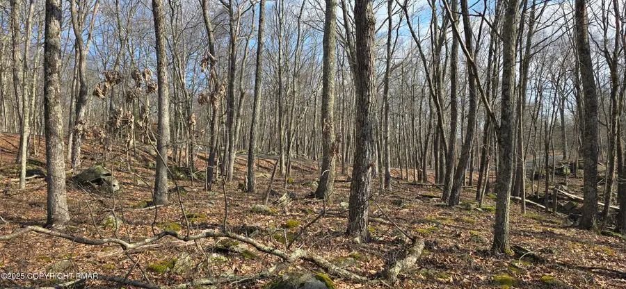 Cowaw Rd, Milford, PA 18337 - Image #2