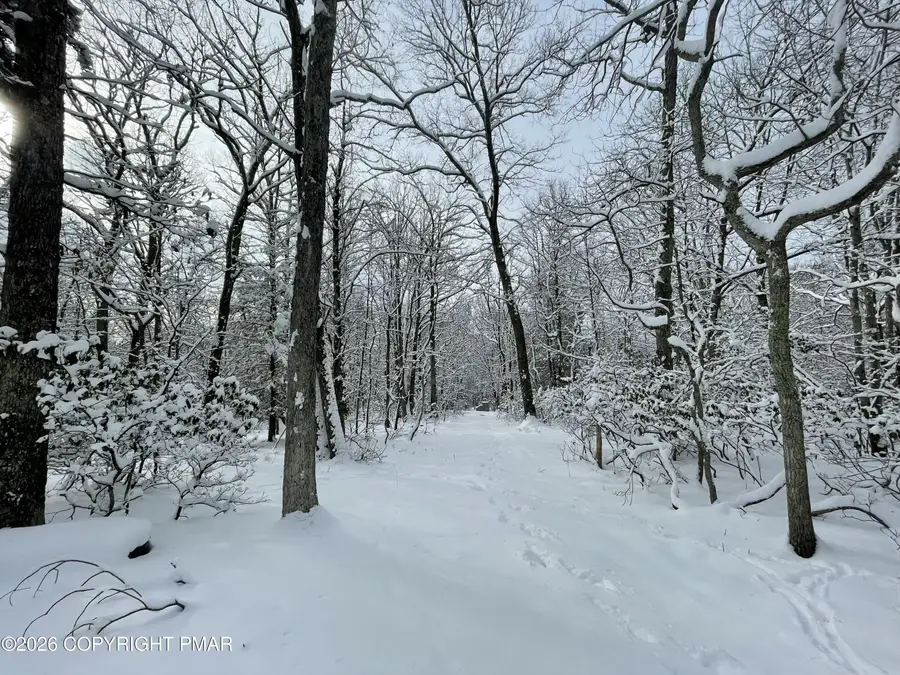 134 Maple Drive, Cresco, PA 18326 - Image #3