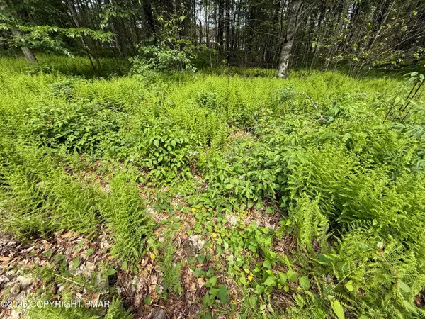 Dorshimer Ave, Pocono Lake, PA 18347