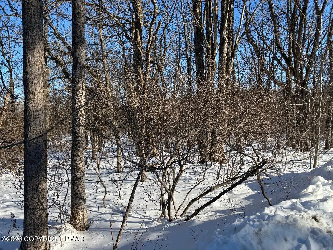 3025 N Delaware Drive, Mount Bethel, PA 18343 - #1