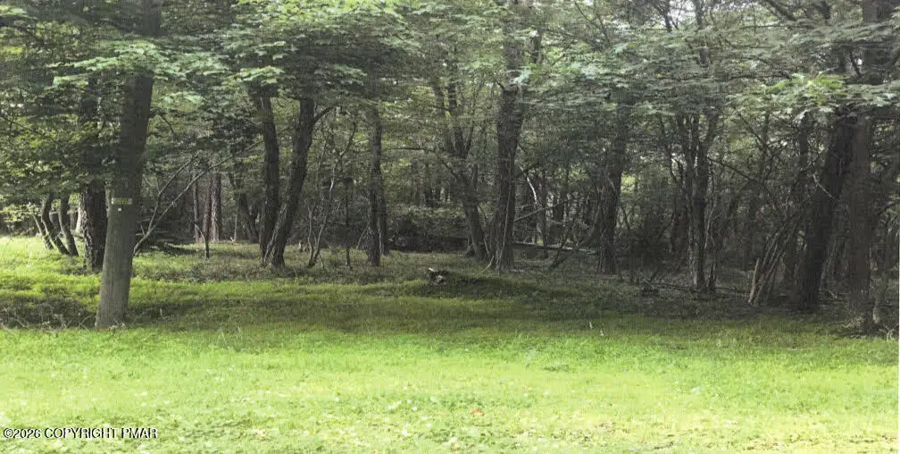 Pine Tree Rd 824 Road, Pocono Summit, PA 18346 - Image #1