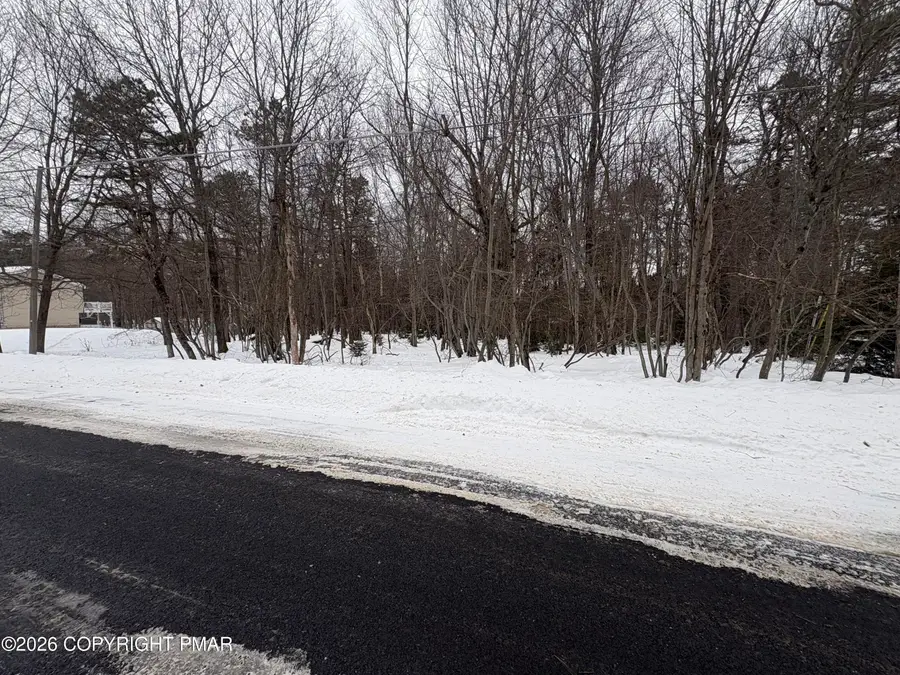 Pine Tree Rd 824 Road, Pocono Summit, PA 18346 - Image #2