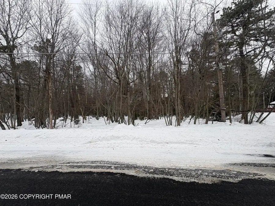 Pine Tree Rd 824 Road, Pocono Summit, PA 18346 - Image #3