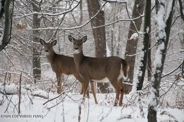 1605 Stag Run #1614, Pocono Lake, PA 18347