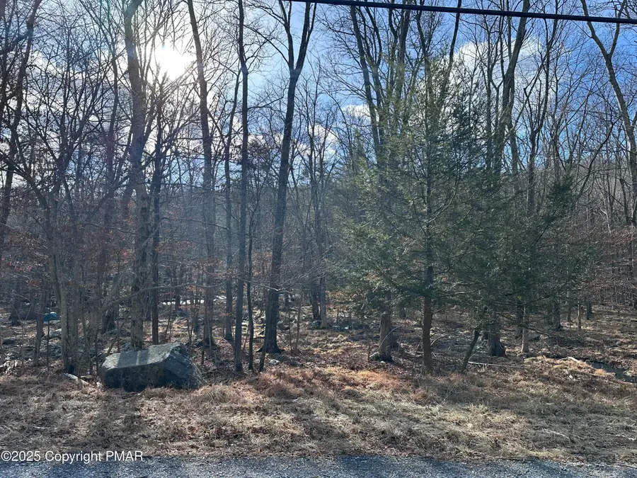 Lot 736 Decker Road, Bushkill, PA 18324 - #2