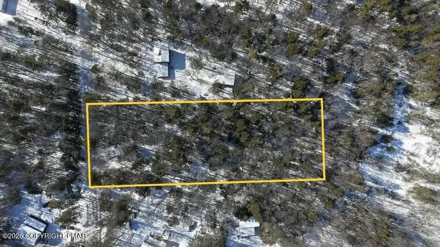 1.7 Acres Off Of Daffodil Dr. Drive, Newfoundland, PA 18445 - #2