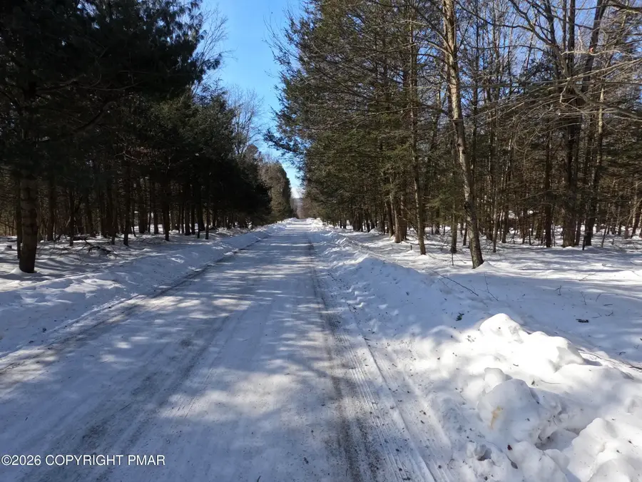 1.7 Acres Off Of Daffodil Dr. Drive, Newfoundland, PA 18445 - #3