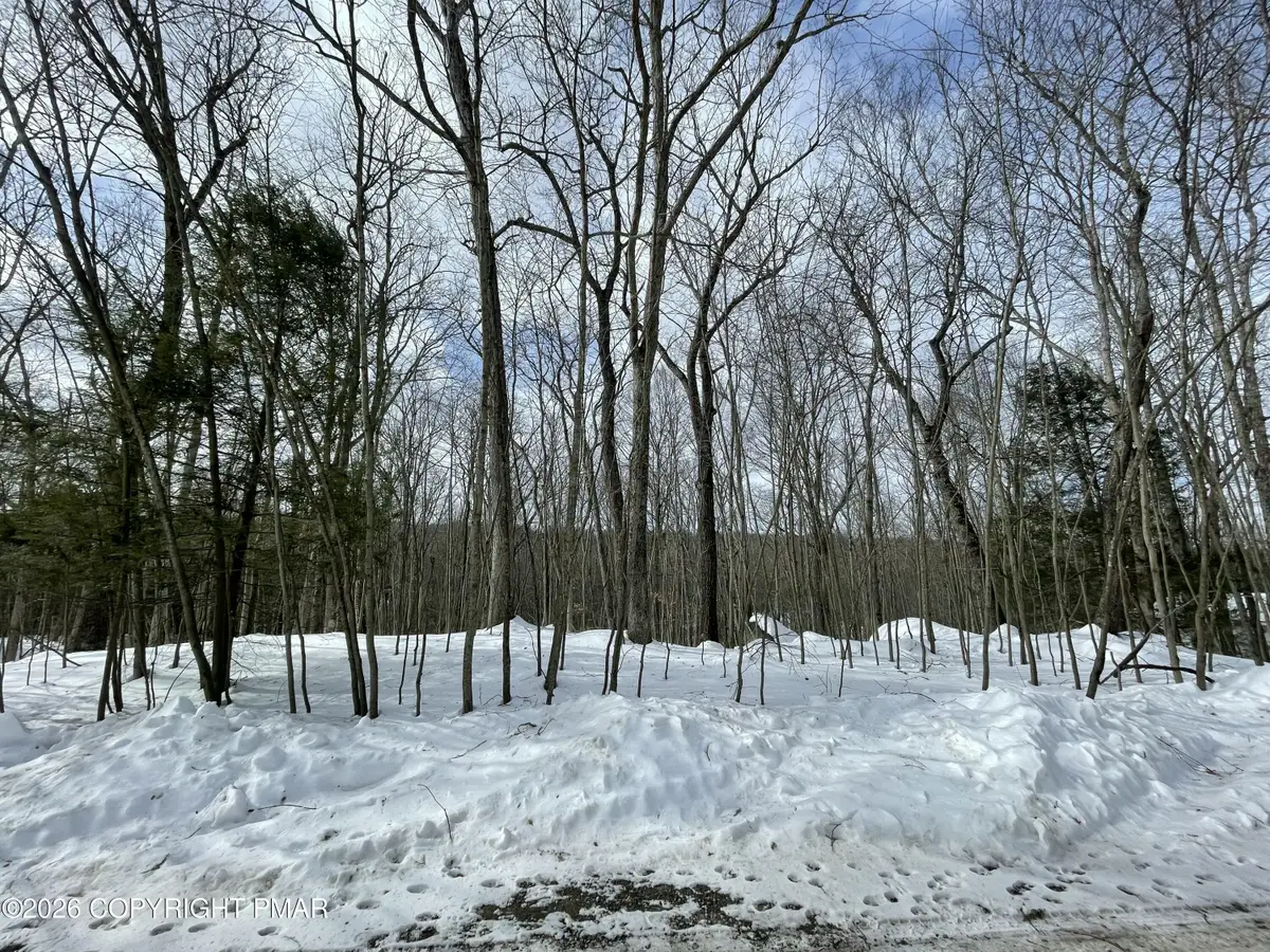 Stony Run Ln 58 Lane, Cresco, PA 18326 - #1