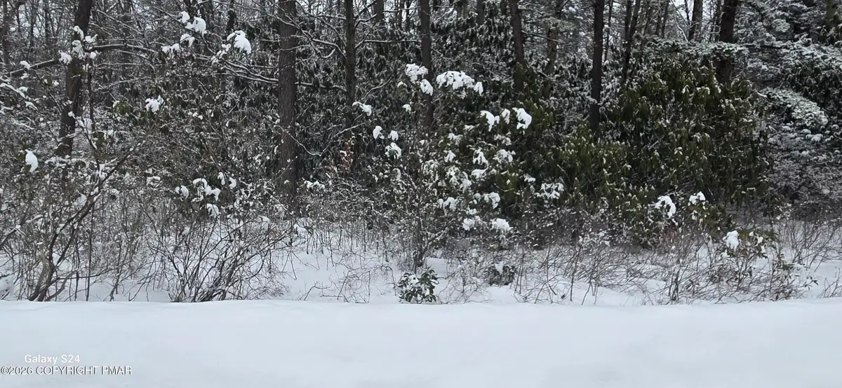 Trail Ridge Road, Albrightsville, PA 18210 - #1