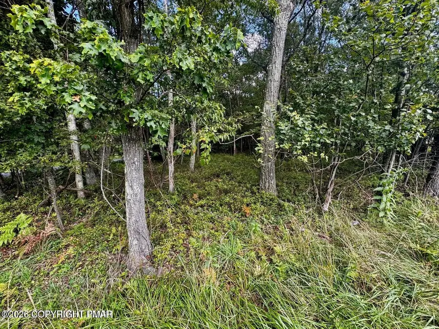 Lot # 14HT Bear Lane, Jim Thorpe, PA 18229 - #2