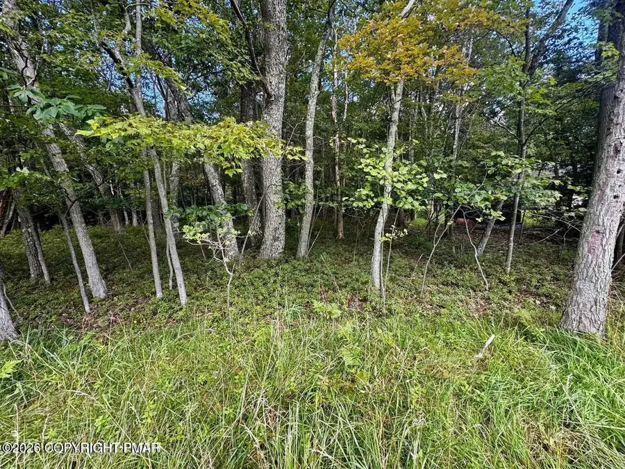 Lot # 14HT Bear Lane, Jim Thorpe, PA 18229 - #3