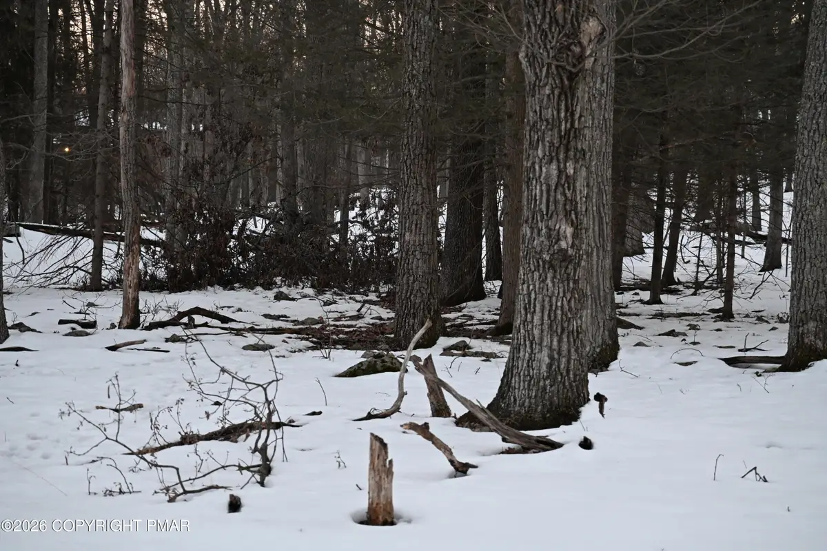 1121 Broken Ski Road, Henryville, PA 18332 - #1