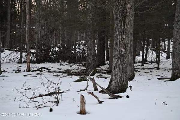 1121 Broken Ski Road, Henryville, PA 18332