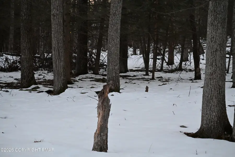 1121 Broken Ski Road, Henryville, PA 18332 - #2