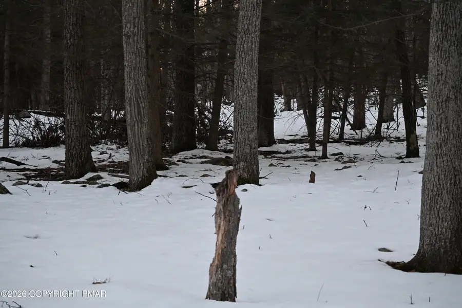 1121 Broken Ski Road, Henryville, PA 18332 - #3