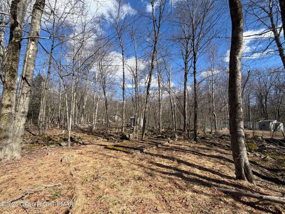 11 Smoke Signal Path, Gouldsboro, PA 18424 - #1