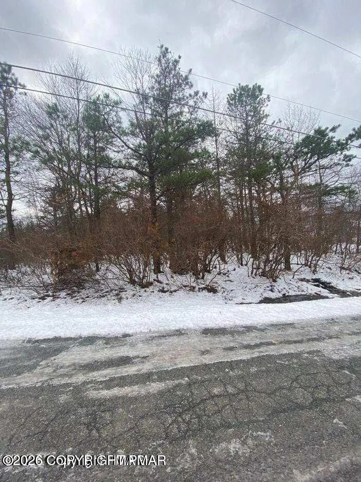 000 Mallard Lane, Bushkill, PA 18324 - #3