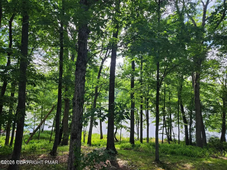 211 Brandyshire Drive, Tamiment, PA 18371 - #3