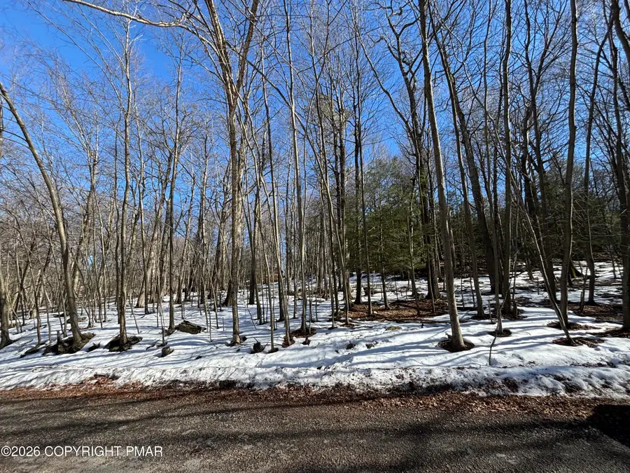 Lots 113/114- Bass Court, Canadensis, PA 18325 - #2