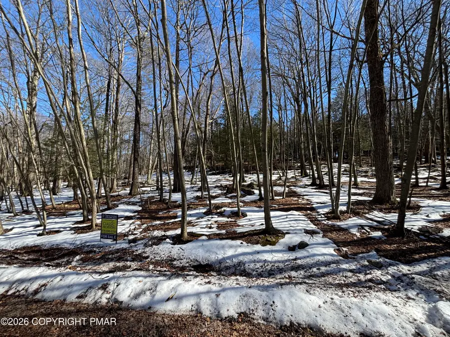 Lots 113/114- Bass Court, Canadensis, PA 18325 - #3