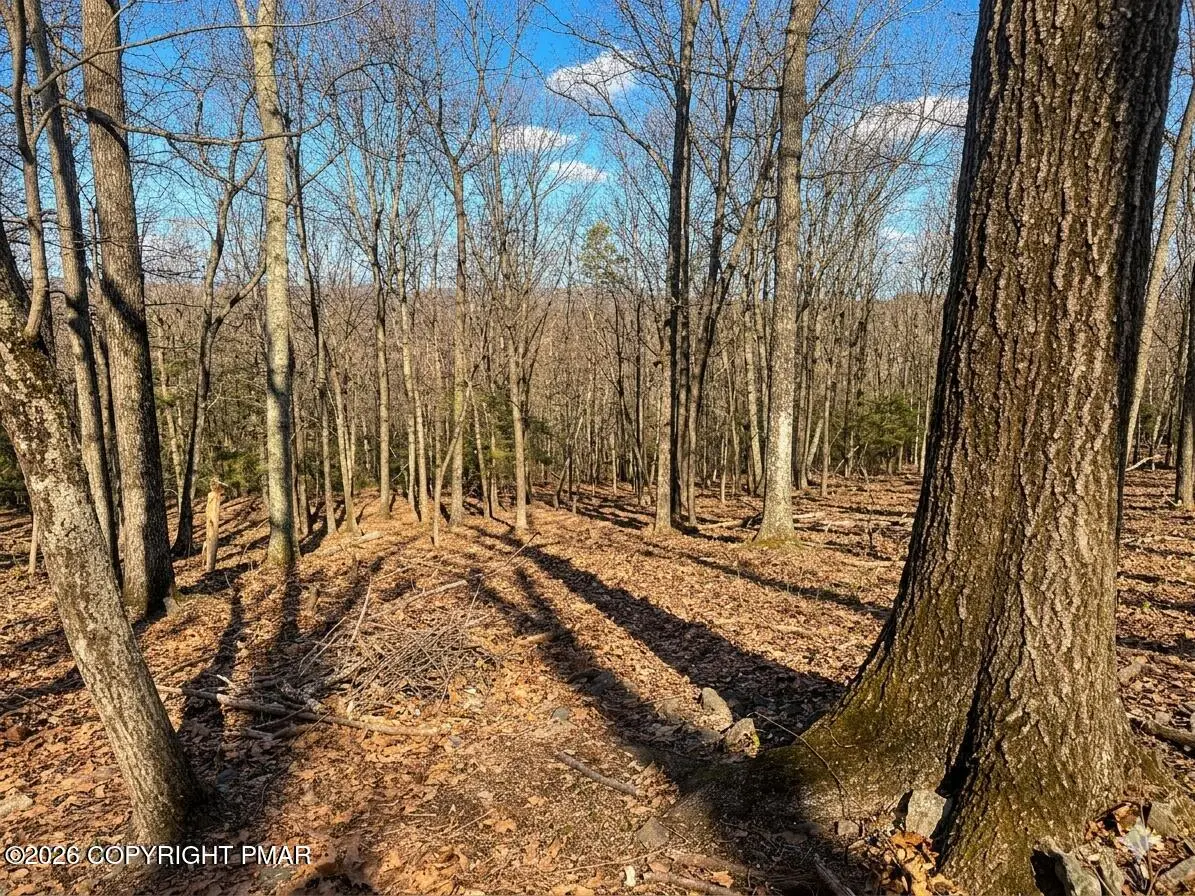 319 Cardinal Road, Cresco, PA 18326 - #1