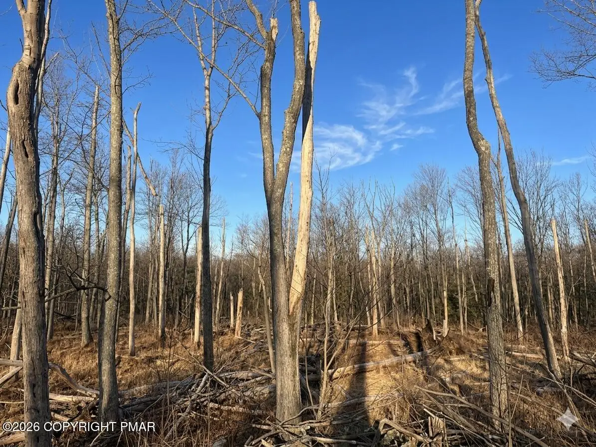 3347 Falstaff Drive, Tobyhanna, PA 18466 - #1