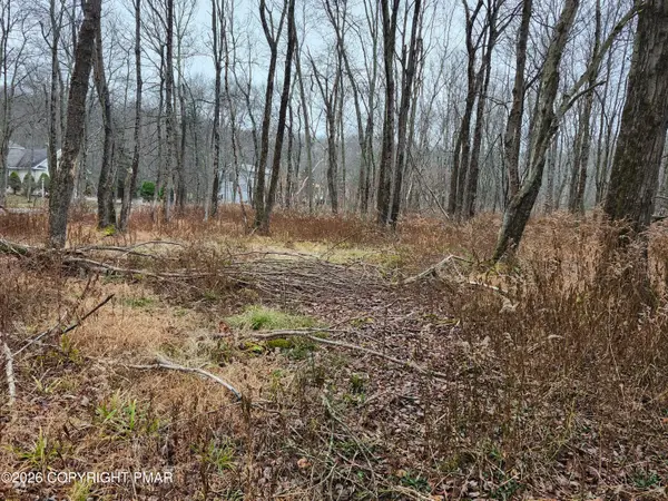 Oak View Lane, Tobyhanna, PA 18466