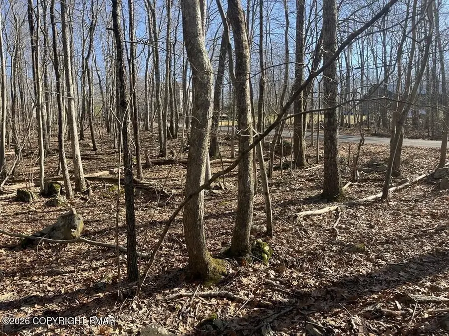 Lot 21 Pocono Forested Drive, East Stroudsburg, PA 18302 - #3