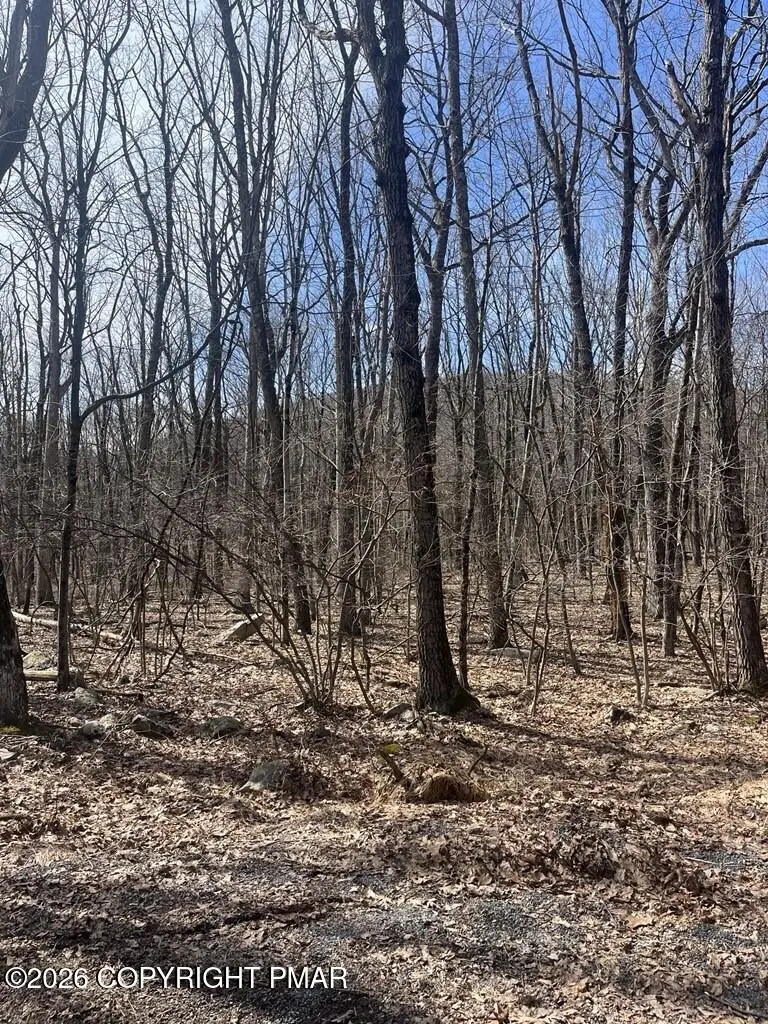 E Creek Drive, Lehighton, PA 18235 - #3