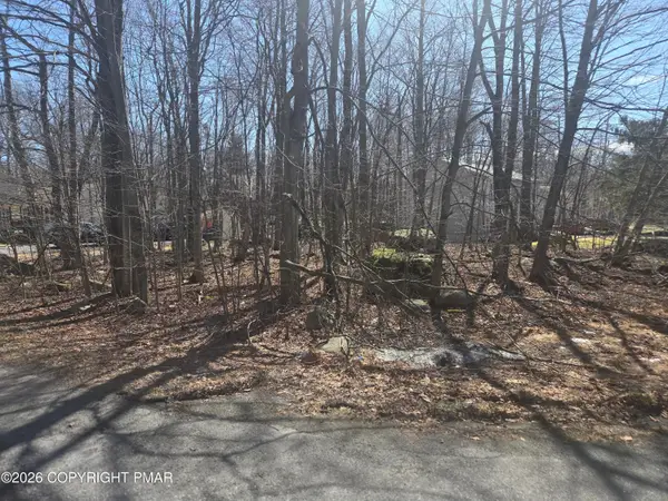 Chipmunk Drive, Coolbaugh Township, PA 18466