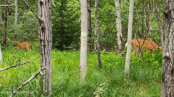 158 Overlook Dr 158 Drive, East Stroudsburg, PA 18301