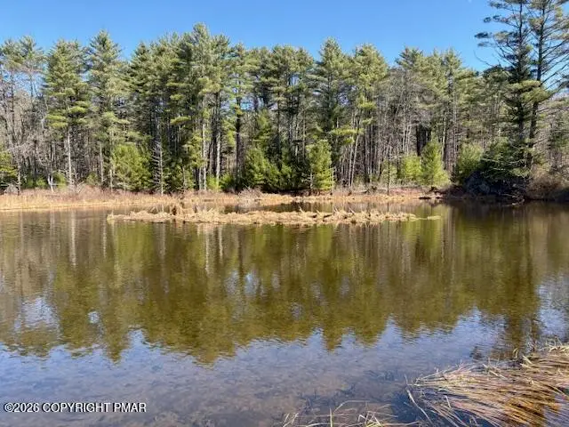 206 Cranberry Creek Road, Cresco, PA 18326 - #2