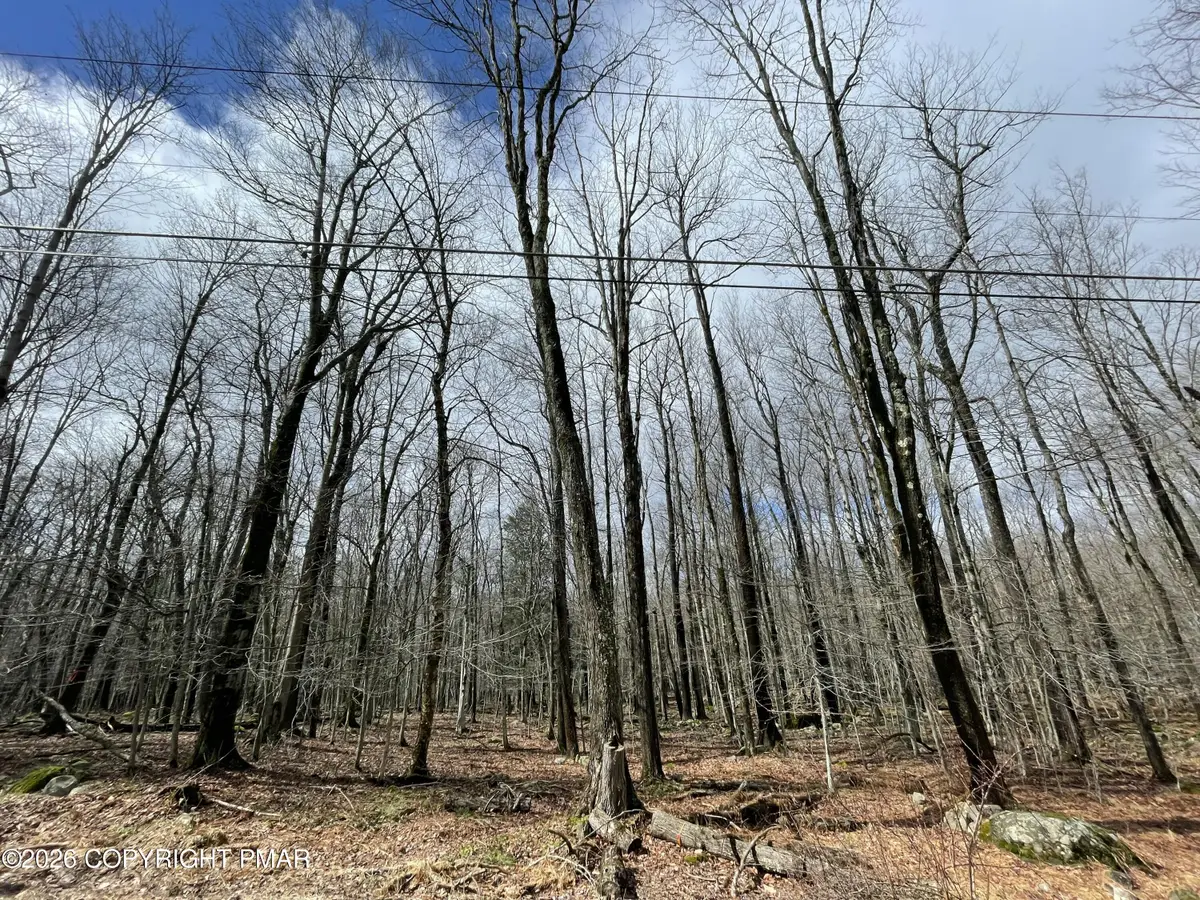 46 Tuscarora Trail, Gouldsboro, PA 18424 - #1