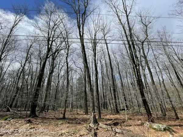 46 Tuscarora Trail, Gouldsboro, PA 18424