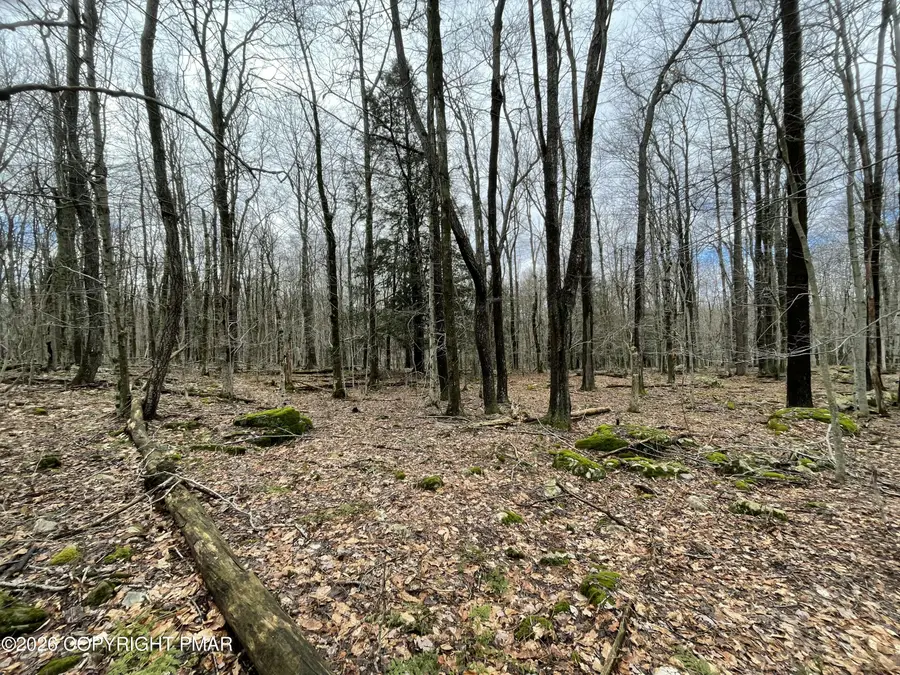 46 Tuscarora Trail, Gouldsboro, PA 18424 - #3