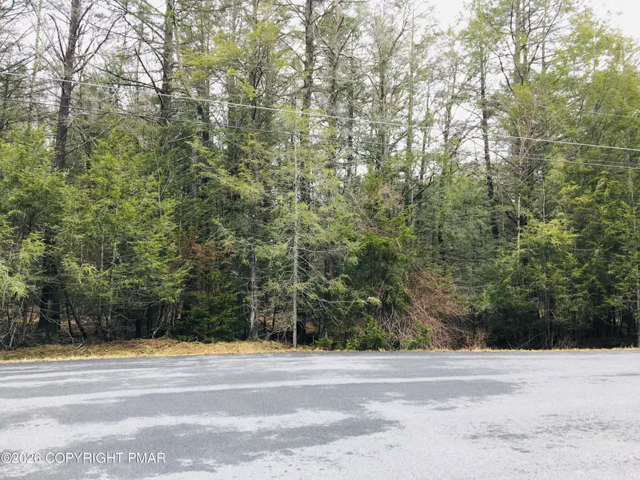 Sir Jeoffrey Ct 199, Pocono Lake, PA 18347 - #2