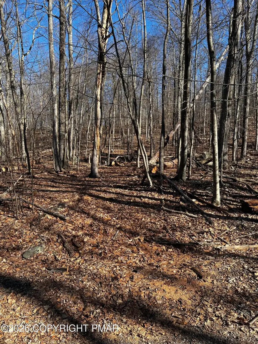 206 Berry Lane, Cresco, PA 18326 - #2