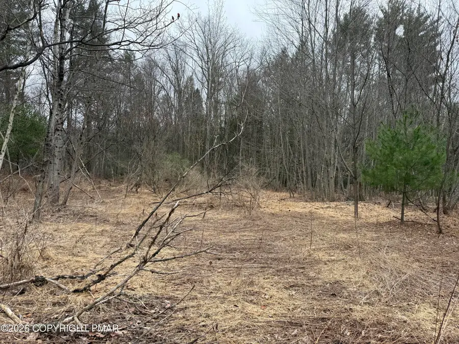 Creekview Road, Kunkletown, PA 18058 - #3